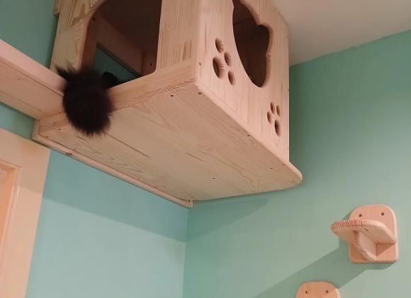 instagram.com/catmosphere2025 котокафе в Одесі