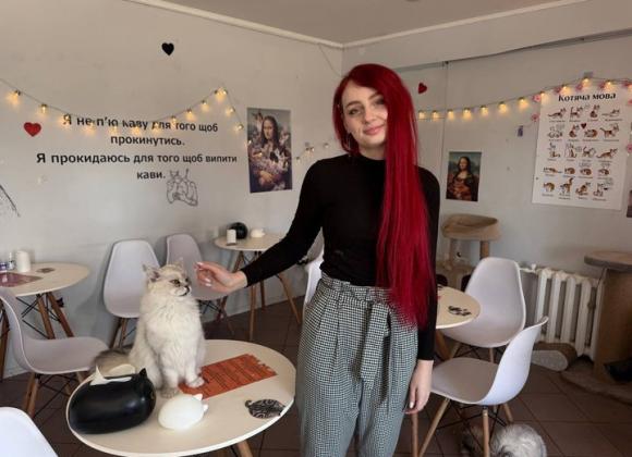 Котокафе у Кривому Розі