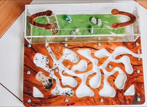 Мурашині ферми