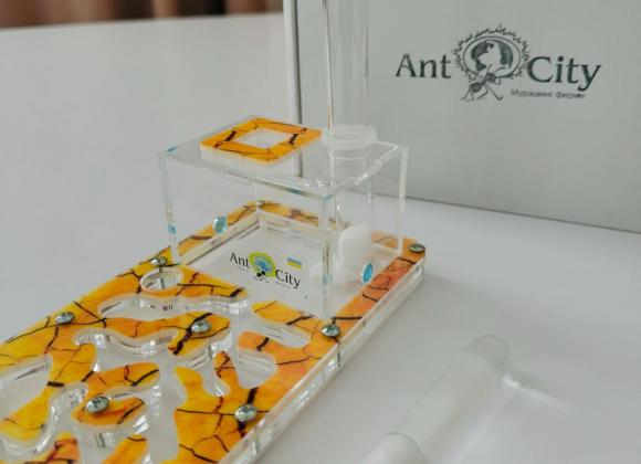 Мурашині ферми