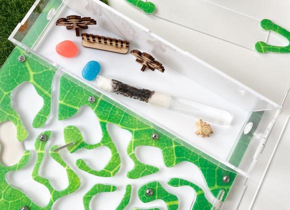 Мурашині ферми