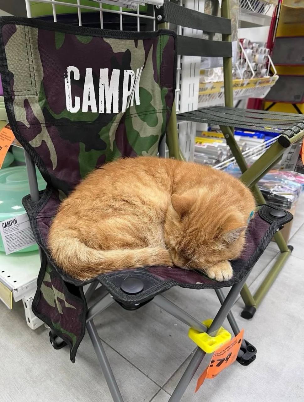 Фото: t.me/eRadarrua