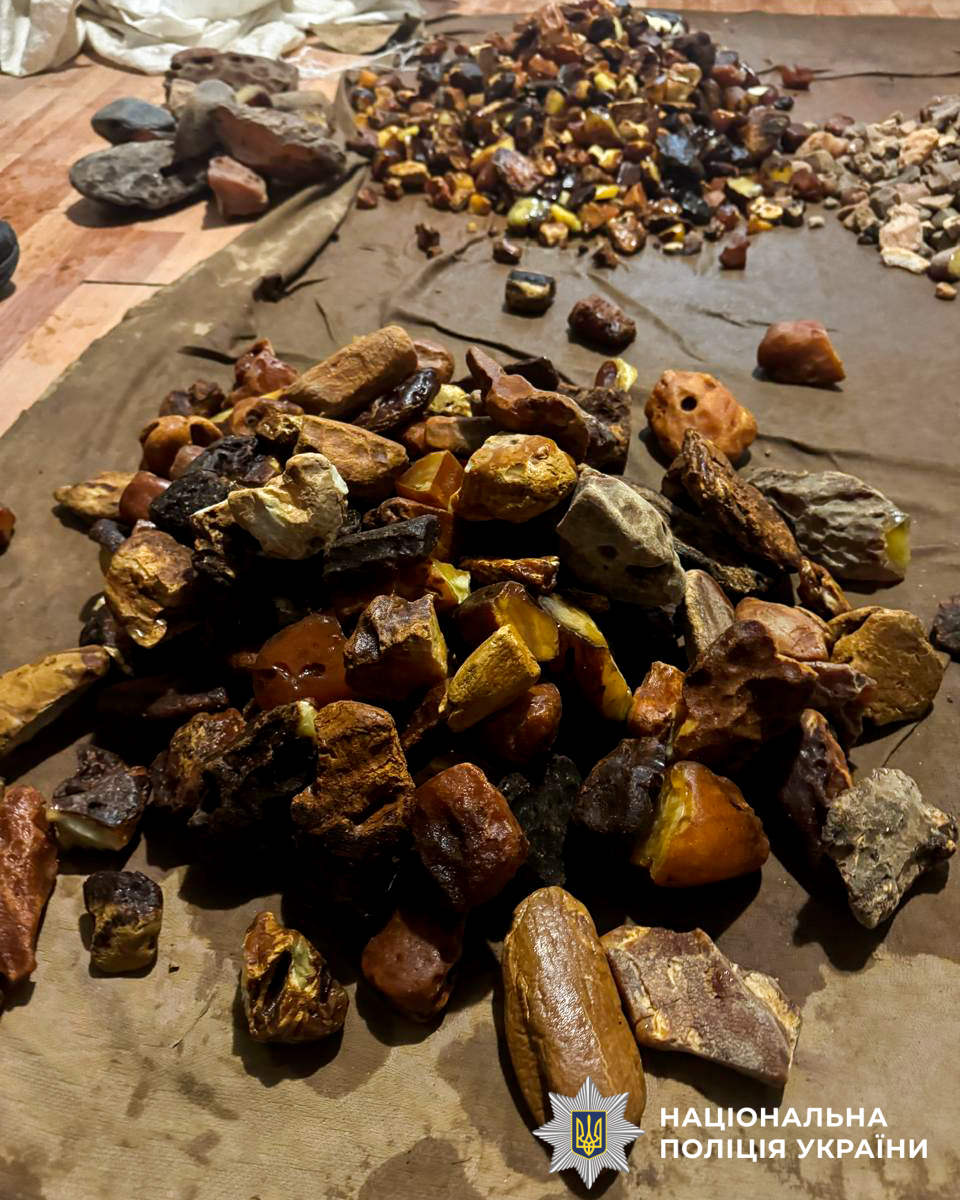 Вилучений бурштин